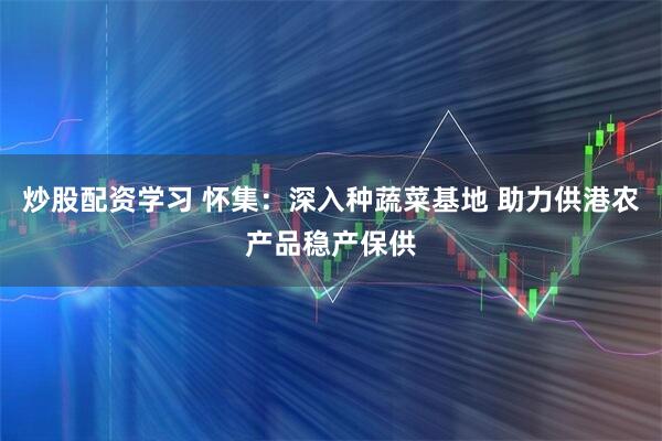 炒股配资学习 怀集：深入种蔬菜基地 助力供港农产品稳产保供