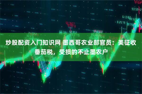 炒股配资入门知识网 墨西哥农业部官员：美征收番茄税，受损的不止墨农户